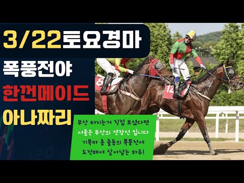 3/22 토요경마 -윤택-아나짜리 폭풍전야의 하루,터지는건 곧 현실