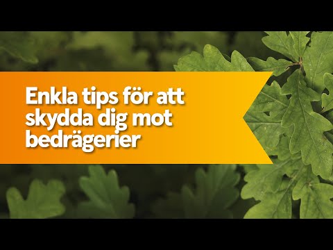 Enkla tips för att skydda dig mot bedrägerier