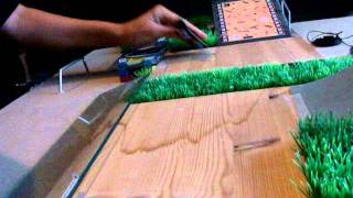 Matias Aguayo - Rollerskate