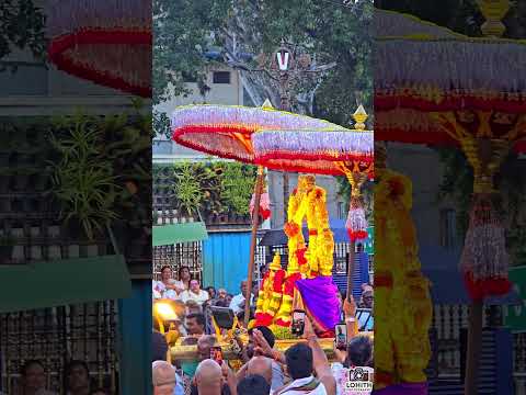 ✨ Govinda… Govinda… 🙏Feel the divine grace of Sri Venkateshwara Swamy from Tirumala. 🌸💫