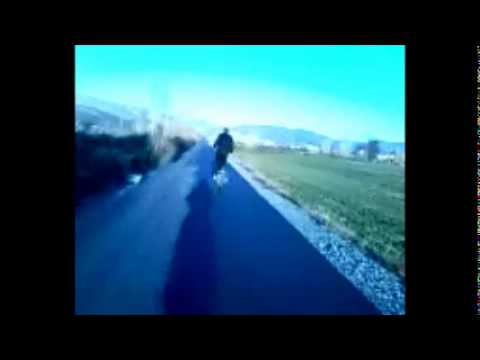 kevin palushaj honda