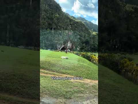Viñales pinar del rio