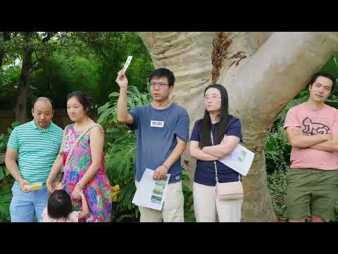 9 Rowe Street, Roseville Chase auction - Jessica Cao | Ray White Upper North Shore