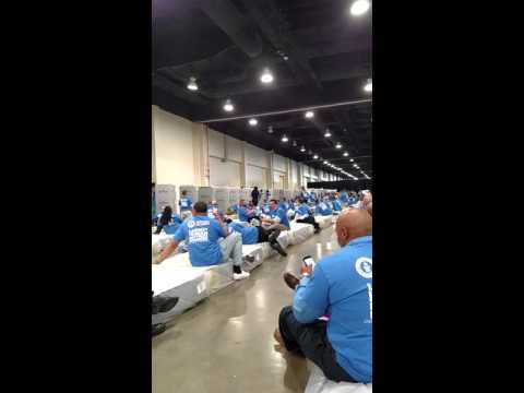 Largest Human Mattress Dominoes