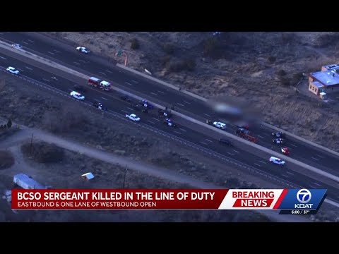 BCSO deputy killed during traffic stop