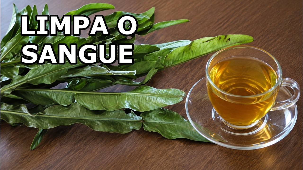 Abaixa a Glicose, o Colesterol, Limpa o Fígado e o Sangue #Remédio 💖 MARILENE SARAH FIALHO