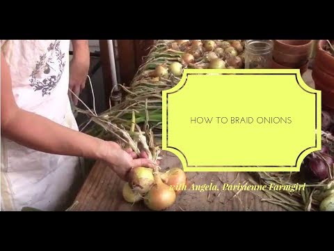 download lagu mp3 mp4 Braiding Onions To Dry, download lagu Braiding Onions To Dry gratis, unduh video klip Braiding Onions To Dry