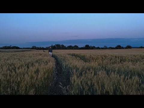 Fran2k - System Kontroli