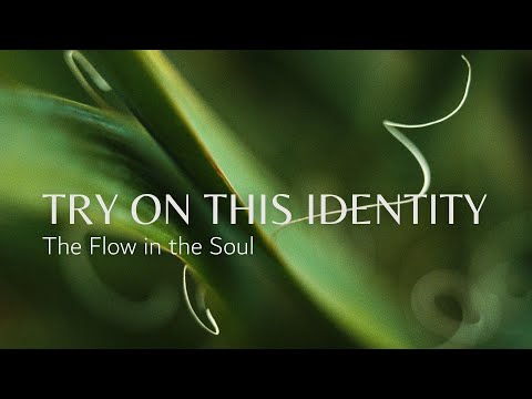 Try On This Identity | Dr. Chip Roper | 01/11/2026