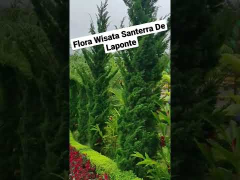 Ada yg baru di Kota Batu Malang #shorts #short #alamindonesia #batumalang