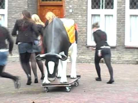 The Royal Foxes dispuutsfilm 2011