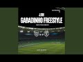 Gabadinho Freestyle