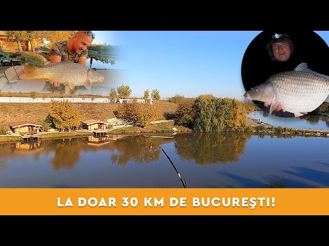 Prima partida pe BALTA GRUIU | 36h de pescuit la crap, abordare, prezentare completa a lacului!