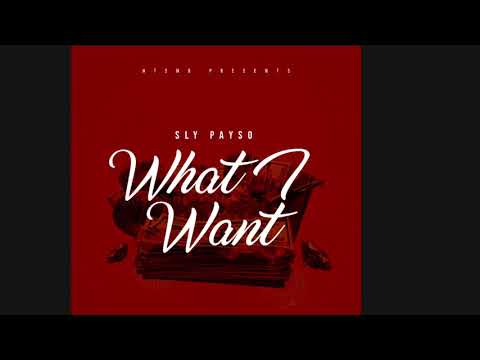 SLY PAYSO - WHAT I WANT (Produced By BUDDAH)
