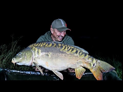 Karpfenangeln in Slowenien  August 2021 für 4 Tage an unbekannten Gewässer fischen.