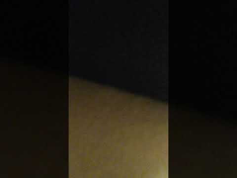 Is they life we Living