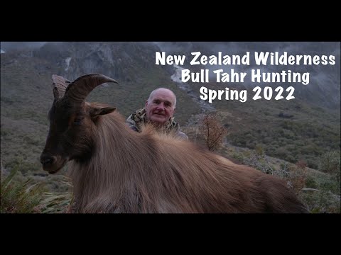 He just Retired and shoots his first ever bull tahr.. (Spring Tahr hunt 2022)