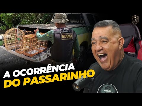 Bird Occurrence - Sgt Castro