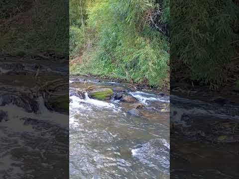 Paisagens à beira de um rio