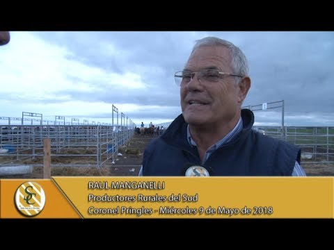 09-05-18 Nota Raul Manganelli - Liquidacion Cabaña La Argentina - Cnel. Pringles.