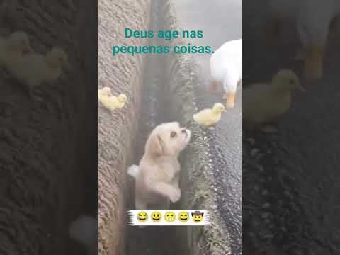 Juntos somos mais fortes: a vitória é sempre coletiva.