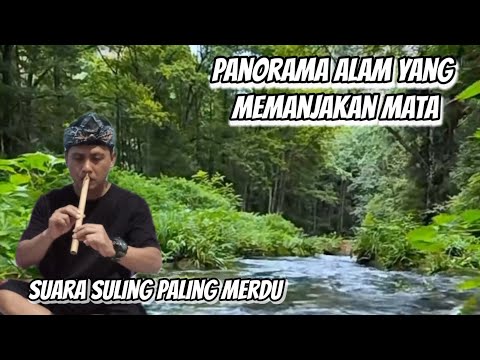 KECAPI SULING SUNDA DENGAN SUARA ALAM YANG MERDU SATU JAM || BIKIN RILEX SUASANA