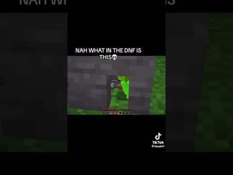 THE WAY THEY BLOCKED IT OFF 😭 #dnf #minecraft #georgenotfound #dream #dnfedit #dnftiktok #fyp