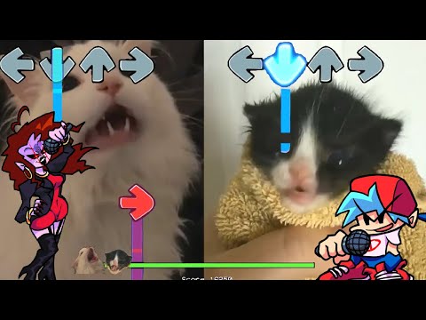 FNF Thurston Waffles VS Towel Cat (Friday Night Funkin Week 4- Satin Panties)