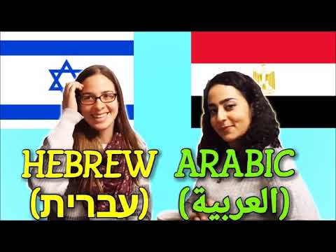 Hebrew & Arabic - Debka Hachamor / The Donkey Debka