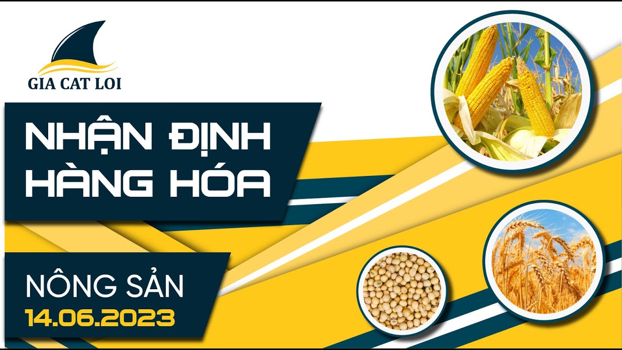 Nhận Định Thị Trường Nông Sản Ngày 14/06/2023