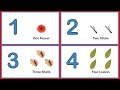 Learn Numbers And Counting 1 To 10 Flashcards Number Names For Kids