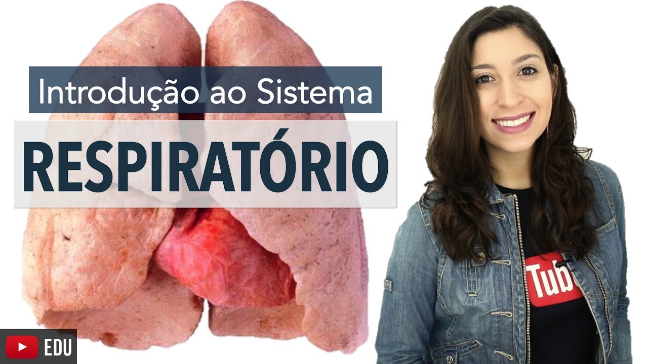 Sistema Respiratório 1/6: Introdução | Anatomia e etc