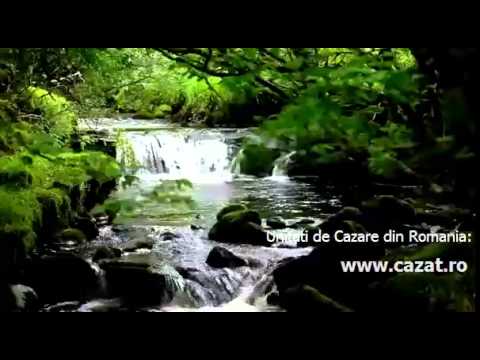 Cazare Voinesita, Valcea - Cazat.ro