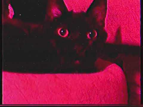 Best Of Art Bell Open Lines Vol. 13