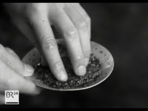 #BR24Zeitreise: Goldabbau im Fichtelgebirge | BR24