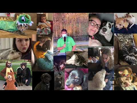 Herrmann Announcement Minute(s): HAM(s) - Episode 9 (Pet Edition)