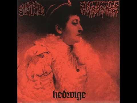 Starve - Starvation (Siege cover)