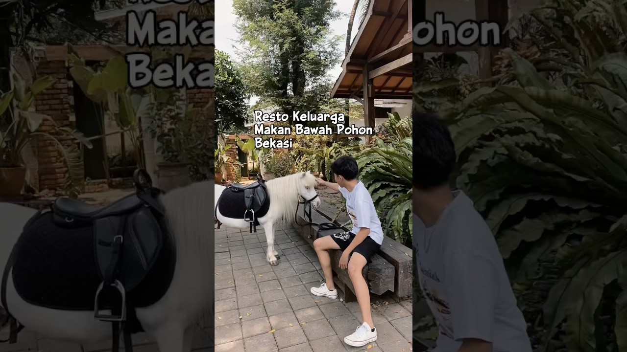 Makan Bawah Pohon Bekasi! Restoran keluarga yang semuanya enak. tapi mending reservasi dulu sih