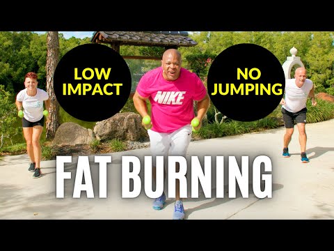 🔥 9 minute Fat Burning Workout for Seniors & Beginners 🔥| Standing | Knee Friendly | No Jumping |