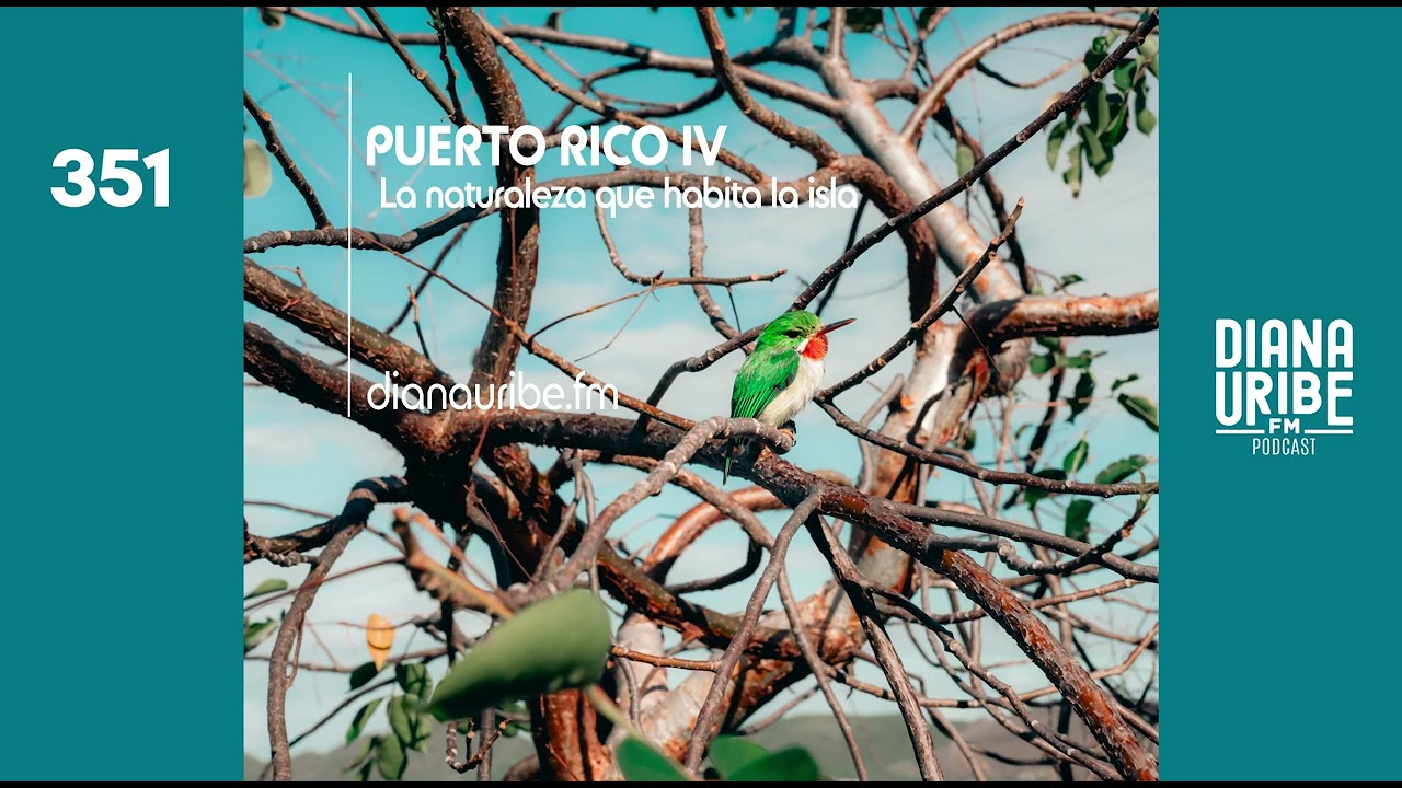 Puerto Rico IV: La naturaleza que habita la isla