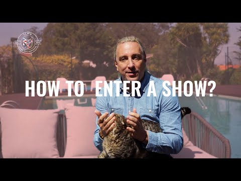 How to enter your cat in a show? I LCWW Loving Cats Worldwide