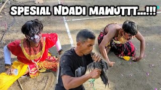 Download lagu Spesial Ndadi Reog Mudho Budoyo Menang 2025 mp3 Download lagu Spesial Ndadi Reog Mudho Budoyo Menang 2025 mp3