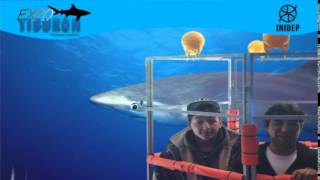 DIA 3 Expo Tiburon147