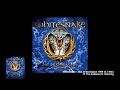 Whitesnake - 13 The Audience Is Listening (5.1 Mix)