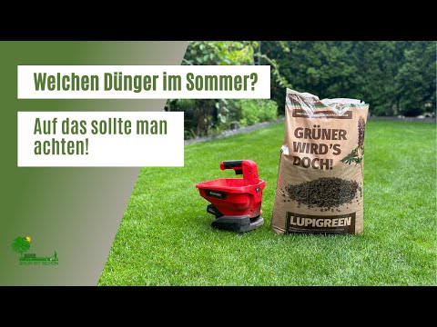 Welchen Dünger im Sommer? 🌱 | Auf das sollte man beim düngen im Sommer achten | Rasenpflege