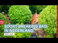 Cel voor crystal meth lab & dorpscafé Zwartemeer komt terug | Drenthe Nu
