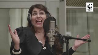 Elefantens vuggevise