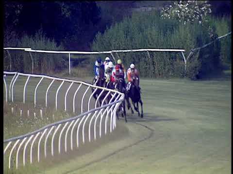 Galoppo 24/08/2019 - 5ª corsa