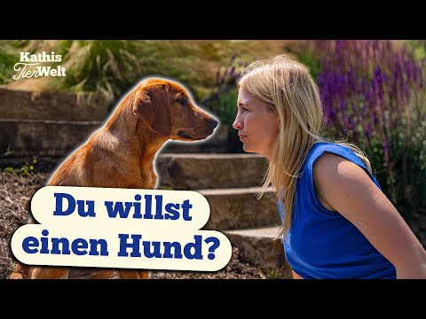 5 things you should know BEFORE you get a dog!