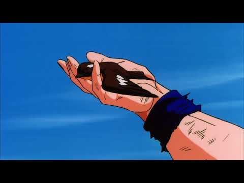 Deftones-Change GOKU V COOLER